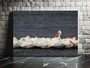 Πίνακας, Flock of Pelicans on Water Κοπάδι πελεκάνων στο νερό