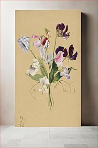 Πίνακας, Flower Study (1886) by Mary Vaux Walcott