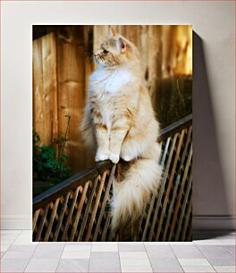 Πίνακας, Fluffy Cat on Fence Αφράτη γάτα σε φράχτη