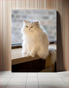 Πίνακας, Fluffy White Cat on Window Sill Αφράτη λευκή γάτα στο περβάζι του παραθύρου