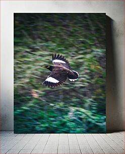 Πίνακας, Flying Bird in Nature Πετώντας πουλί στη Φύση