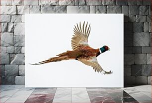 Πίνακας, Flying Pheasant Ιπτάμενος Φασιανός