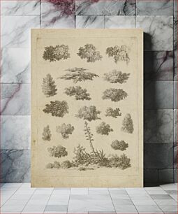 Πίνακας, Foliage Studies