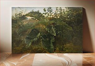 Πίνακας, Foreground study with drapes by Dankvart Dreyer