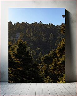 Πίνακας, Forest in the Afternoon Light Δάσος στο απογευματινό φως