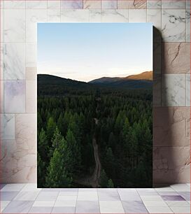 Πίνακας, Forest Path at Dusk Δασικό μονοπάτι στο σούρουπο