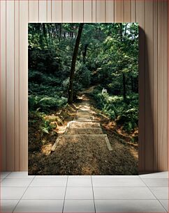 Πίνακας, Forest Pathway Forest Pathway