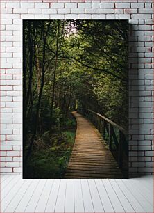 Πίνακας, Forest Pathway Forest Pathway