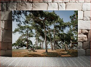 Πίνακας, Forest Picnic Area Δασικός εκδρομικός χώρος