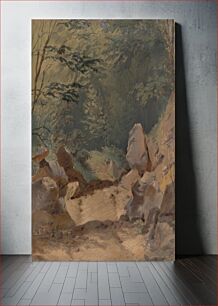 Πίνακας, Forest scenery with rocks by Friedrich Carl von Scheidlin