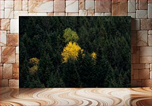 Πίνακας, Forest with Yellow Trees Δάσος με κίτρινα δέντρα