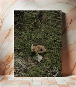 Πίνακας, Fox in the Forest Αλεπού στο δάσος