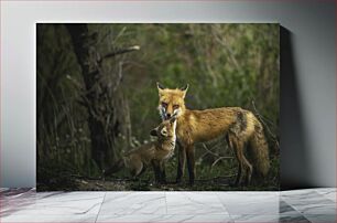 Πίνακας, Fox Mother and Kit Fox Mother and Kit