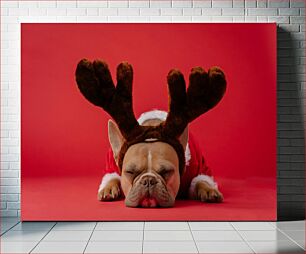 Πίνακας, French Bulldog in Christmas Costume Γαλλικό μπουλντόγκ με χριστουγεννιάτικη στολή