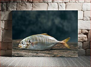 Πίνακας, Fresh Fish on Wooden Surface Φρέσκα ψάρια σε ξύλινη επιφάνεια