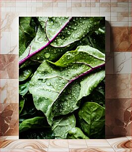 Πίνακας, Fresh Green Leaves with Dew Φρέσκα πράσινα φύλλα με δροσιά