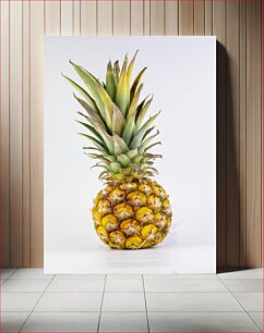 Πίνακας, Fresh Pineapple Φρέσκος ανανάς