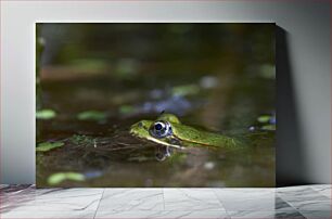 Πίνακας, Frog in the Water Βάτραχος στο νερό