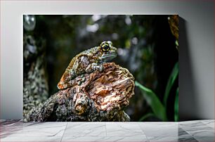 Πίνακας, Frog on a Log Βάτραχος σε ένα κούτσουρο