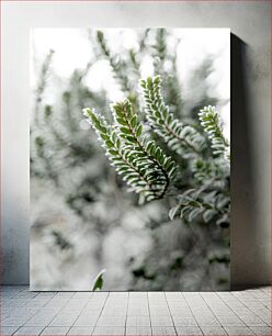 Πίνακας, Frosted Greenery Παγωμένο πράσινο