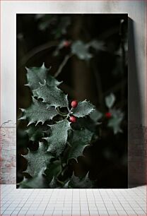 Πίνακας, Frosty Holly Leaves Frosty Holly Leaves