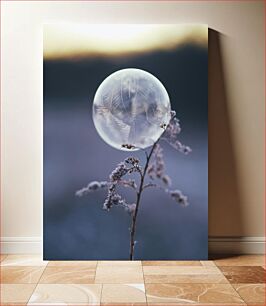 Πίνακας, Frozen Bubble on a Plant Παγωμένη φούσκα σε ένα φυτό