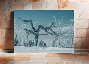 Πίνακας, Frozen Trees in Winter Landscape Παγωμένα δέντρα στο χειμερινό τοπίο