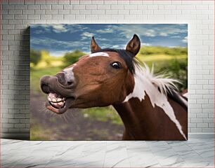 Πίνακας, Funny Horse Close-Up Κοντινό πλάνο αστείου αλόγου