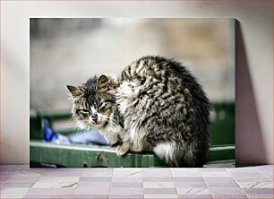 Πίνακας, Furry Cat Resting Γούνινη γάτα που ξεκουράζεται