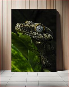 Πίνακας, Gecko's Gaze Το βλέμμα του γκέκο