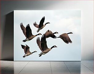 Πίνακας, Geese in Flight Χήνες σε πτήση