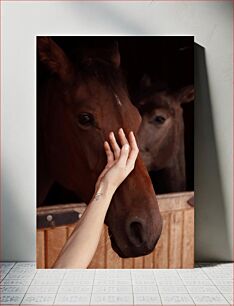 Πίνακας, Gentle Touch with Horses Απαλό άγγιγμα με άλογα