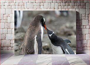 Πίνακας, Gentoo Penguins Interacting Gentoo Penguins Αλληλεπιδρούν