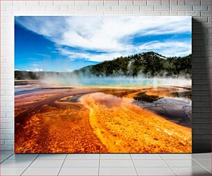 Πίνακας, Geyser Basin Landscape Τοπίο λεκάνης θερμίδων