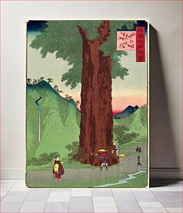 Πίνακας, Giant Cedar, Kōshū Province