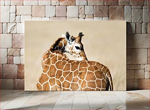 Πίνακας, Giraffe in the Wild Καμηλοπάρδαλη στην άγρια ​​φύση