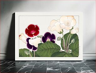 Πίνακας, Gloxinia flower, Japanese woodblock art