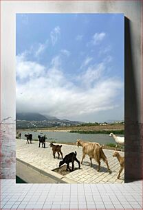 Πίνακας, Goats by the River Κατσίκες δίπλα στο ποτάμι