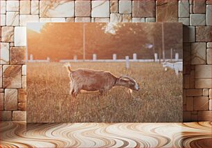 Πίνακας, Goats Grazing at Sunset Κατσίκες που βόσκουν στο ηλιοβασίλεμα