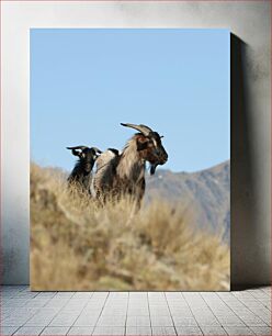 Πίνακας, Goats in the Mountains Κατσίκες στα βουνά