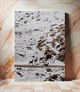 Πίνακας, Goats on Snowy Mountain Κατσίκες στο Χιονισμένο Βουνό