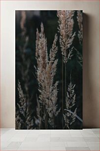 Πίνακας, Golden Evening Grass Golden Evening Grass