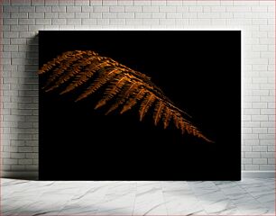 Πίνακας, Golden Fern in Darkness Χρυσή Φτέρη στο Σκοτάδι