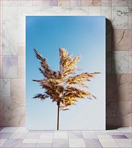 Πίνακας, Golden Grass Against Blue Sky Golden Grass Against Blue Sky