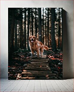 Πίνακας, Golden Retriever in a Forest Golden Retriever σε ένα δάσος