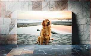 Πίνακας, Golden Retriever on the Beach Γκόλντεν Ριτρίβερ στην παραλία