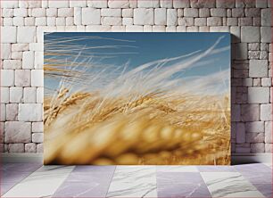 Πίνακας, Golden Wheatfield Golden Wheatfield