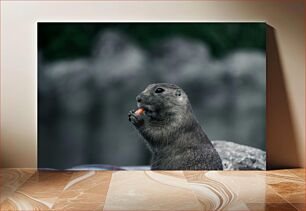 Πίνακας, Gopher Eating a Carrot Gopher τρώει ένα καρότο