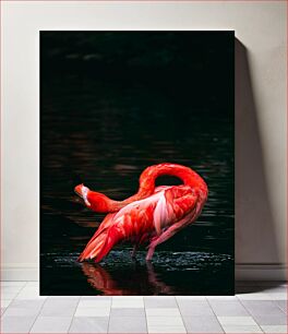 Πίνακας, Graceful Flamingo Χαριτωμένο Flamingo