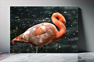 Πίνακας, Graceful Flamingo Χαριτωμένο Flamingo